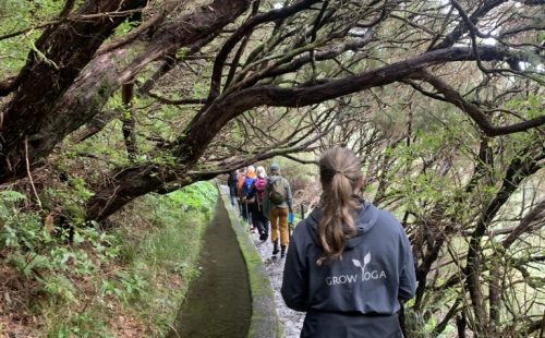 Madeira grow yoga