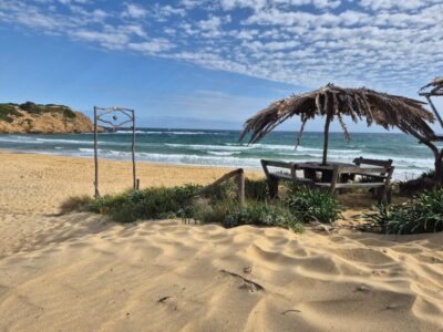 bb239472-9a5f-4e8c-b59c-0e3ef75a95ff