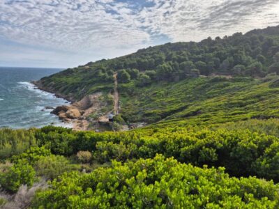 db668093-5ebc-4ca8-880d-2851e7c8b70c