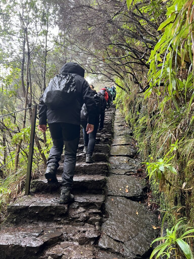 Yoga rejser Madeira Grow Yoga